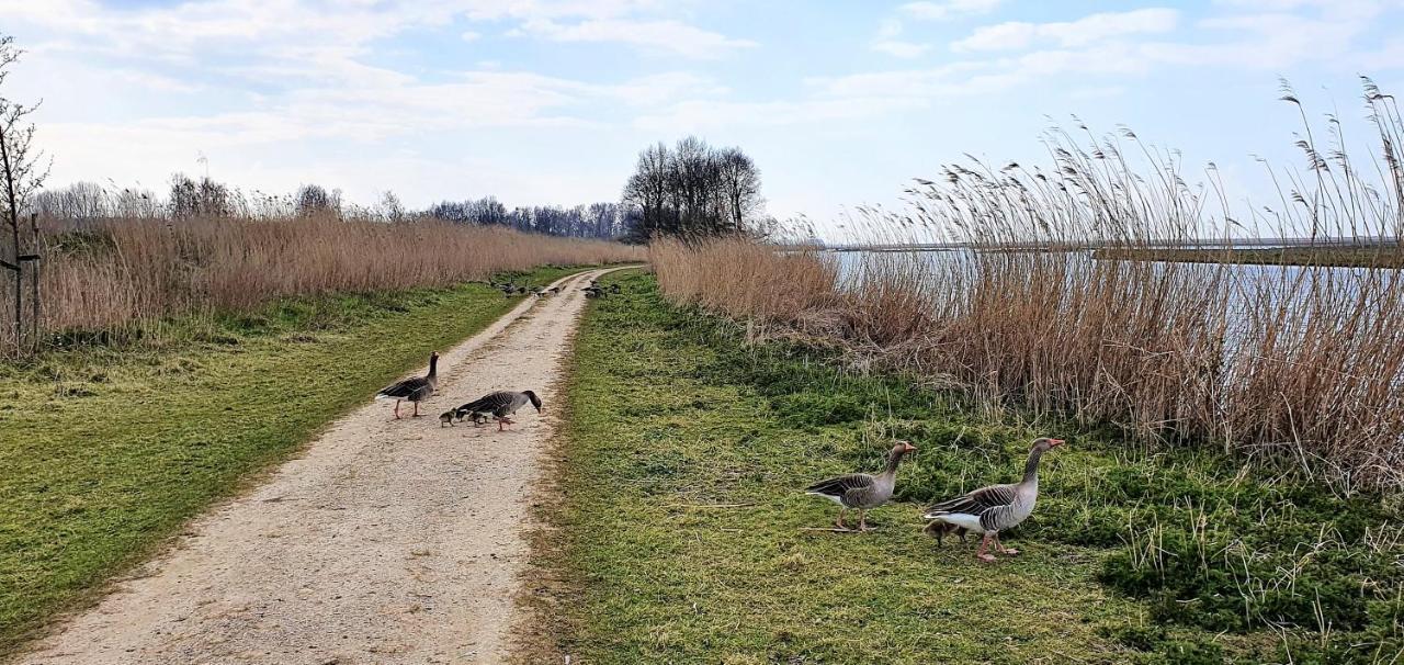 Inntermezzo Almere Zewnętrze zdjęcie